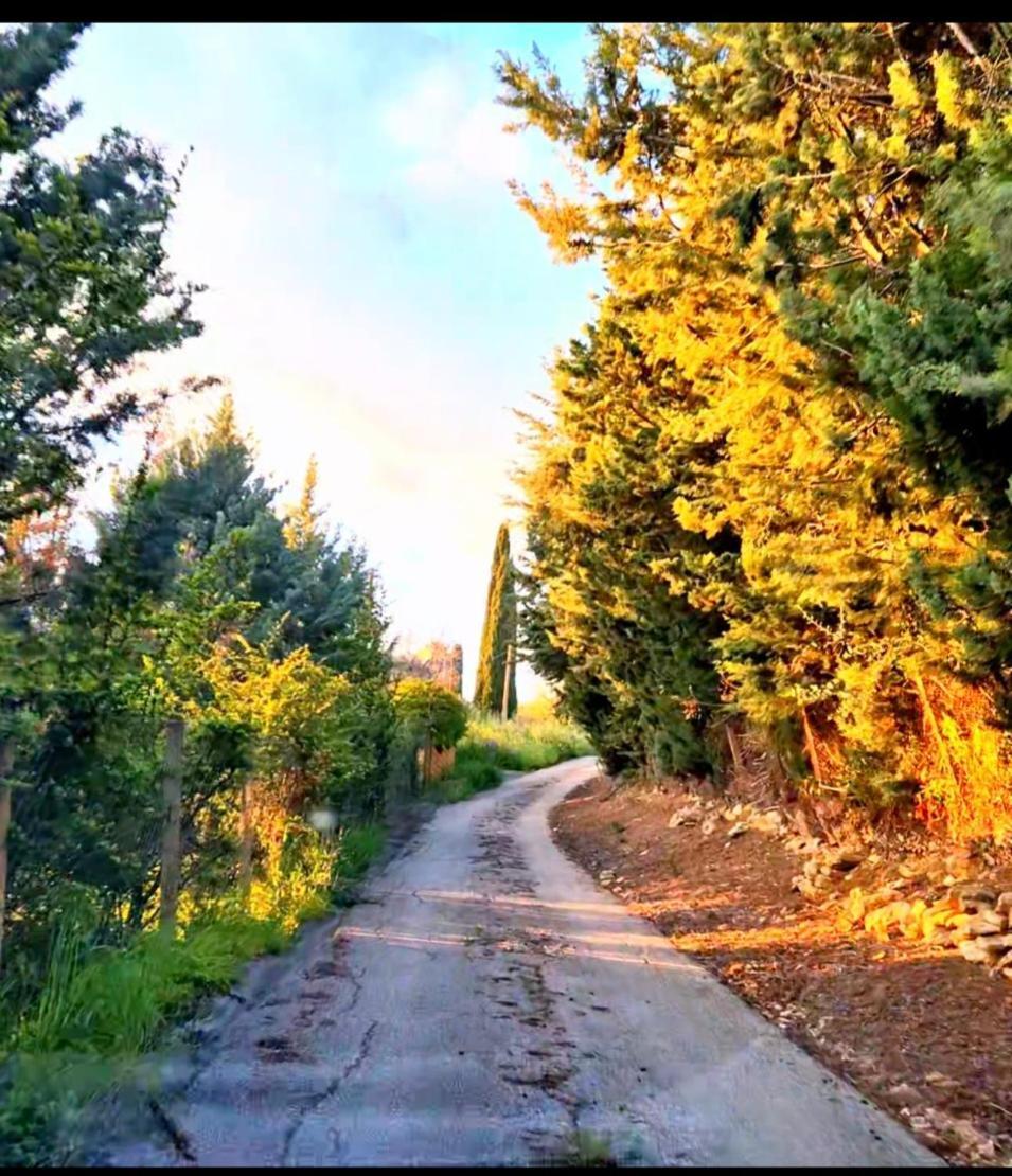 Donna Caterina House, Holiday Villa Pietraperzia Dış mekan fotoğraf